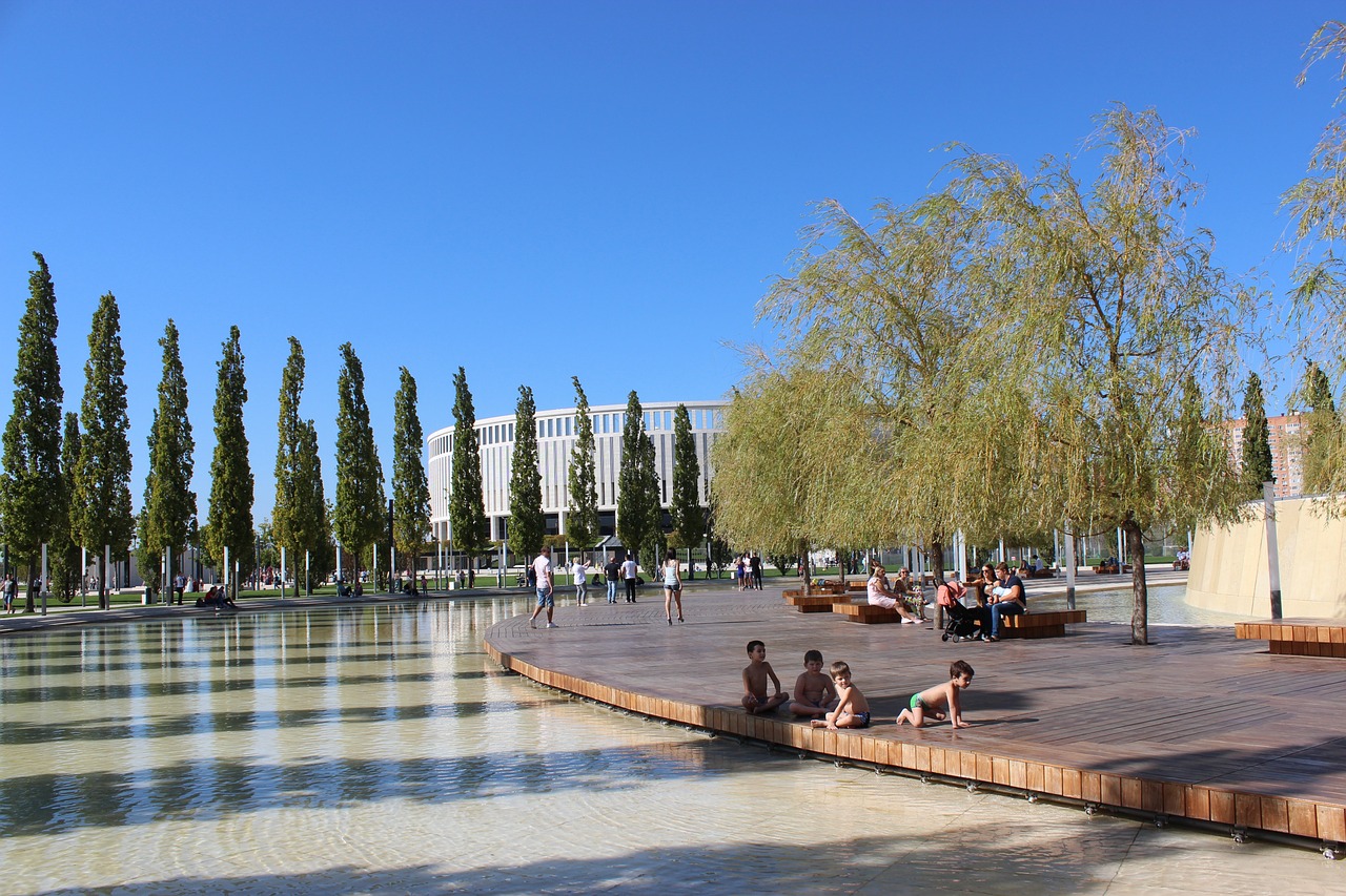 技术的引入 技术的引入