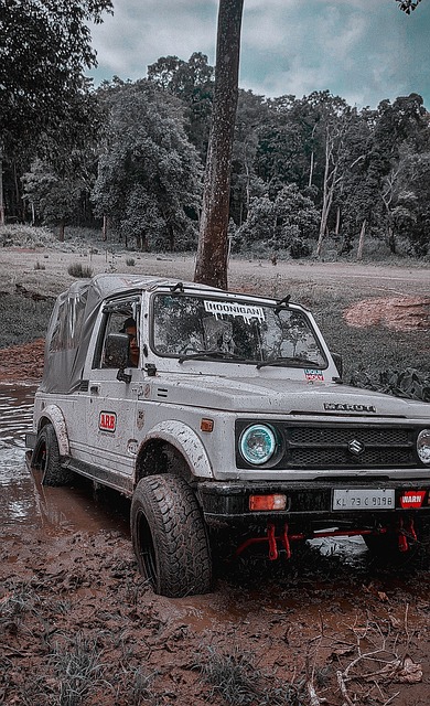 人开始跟着 人开始跟着