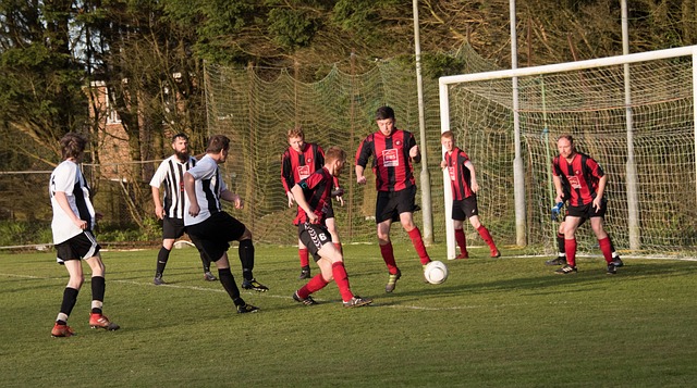 这种做法将 这种做法将