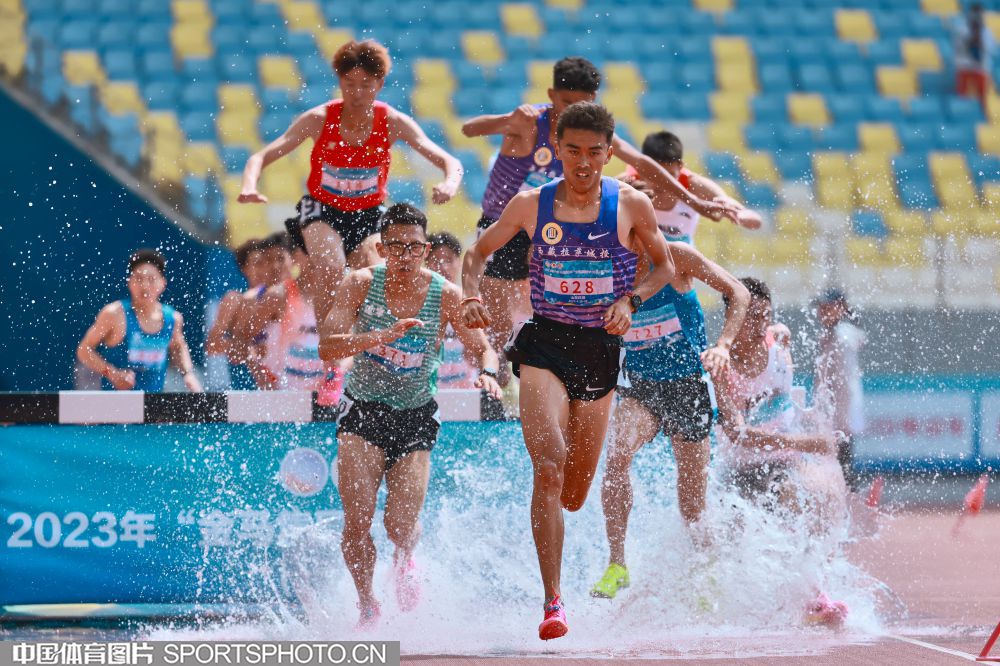 调整成果显 调整成果显