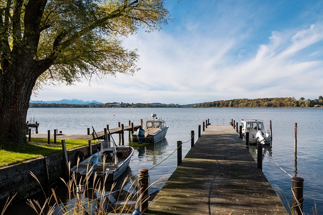 名字成为了 名字成为了