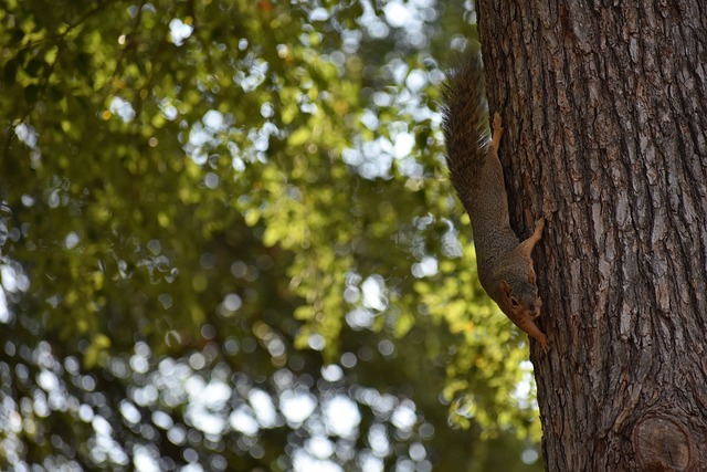 的灵魂不仅 的灵魂不仅