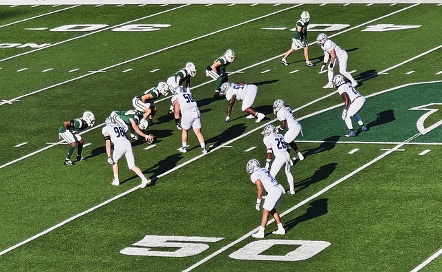 赛中的临场 赛中的临场